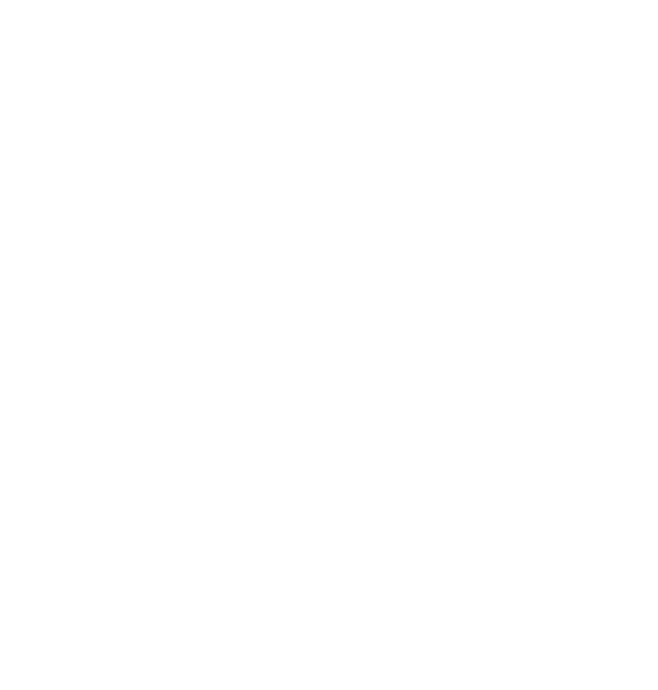 Day Owl